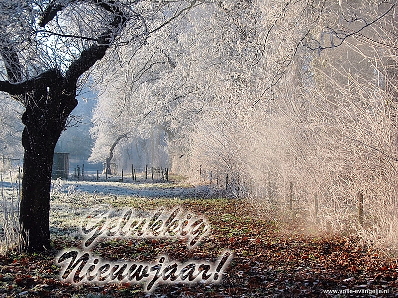 Gelukkig Nieuwjaar, een witte boomgaard, besneeuwde bomen, stuifsneeuw, rijp