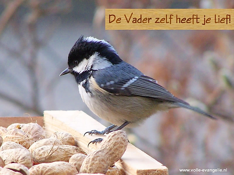 De Vader zelf heeft je lief!