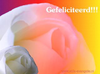 Gefeliciteerd -Roos-