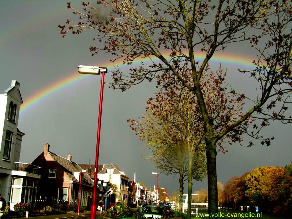 Regenboog