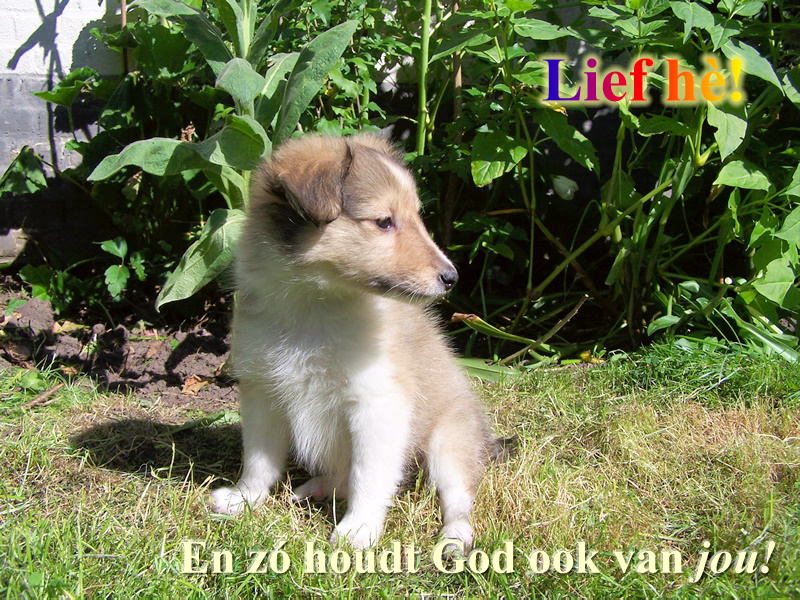 Zo houdt God van jou!