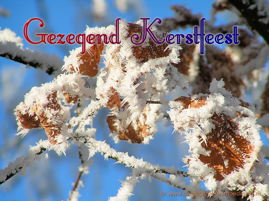 Gezegend Kerstfeest