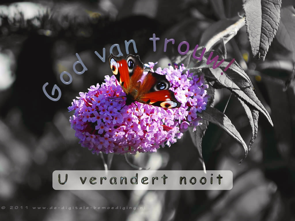 God van trouw!