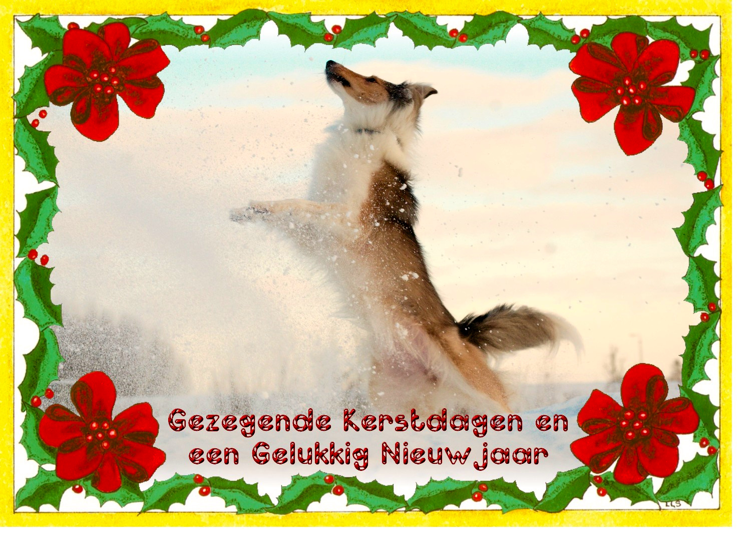 Gezegende Kerstdagen en een Gelukkig Nieuwjaar