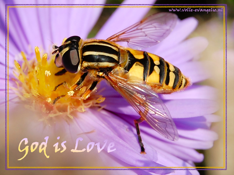 God is Love