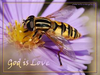 God is Love