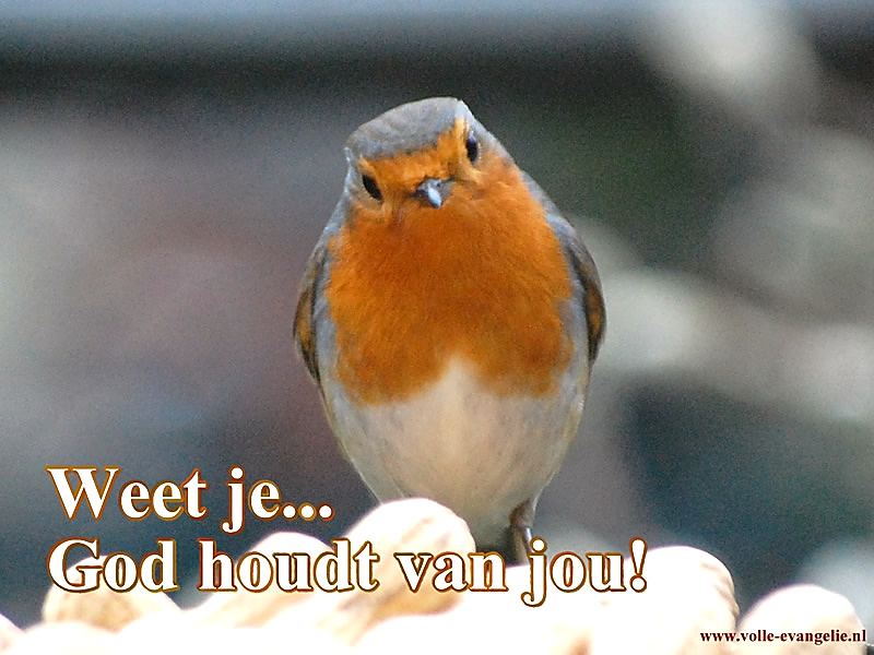 God houdt van jou