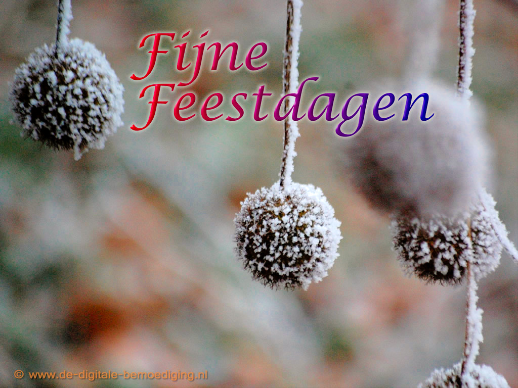 Fijne Feestdagen!