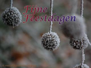 Fijne Feestdagen!